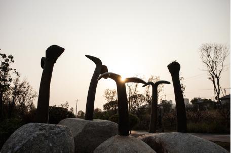 誰,在讓城市雕塑自然生長?